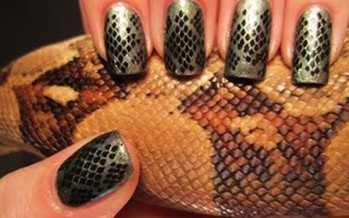 Local Woman Invents Fashion Style, Snakenails, Hits LA and NY