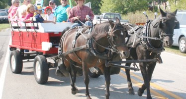Free Wagon Rides – City Market Party Returns to Downtown