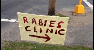 Naked Man tests positive for Rabies