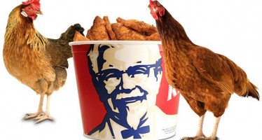 Poork Town:  Rockfordians Petition to Make KFC Original Recipe the State Bird