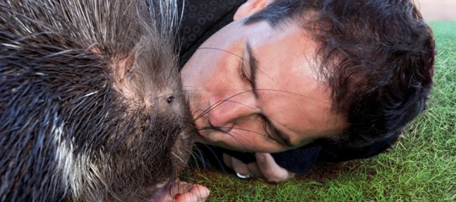 Man kisses Porcupine makes nose bleed
